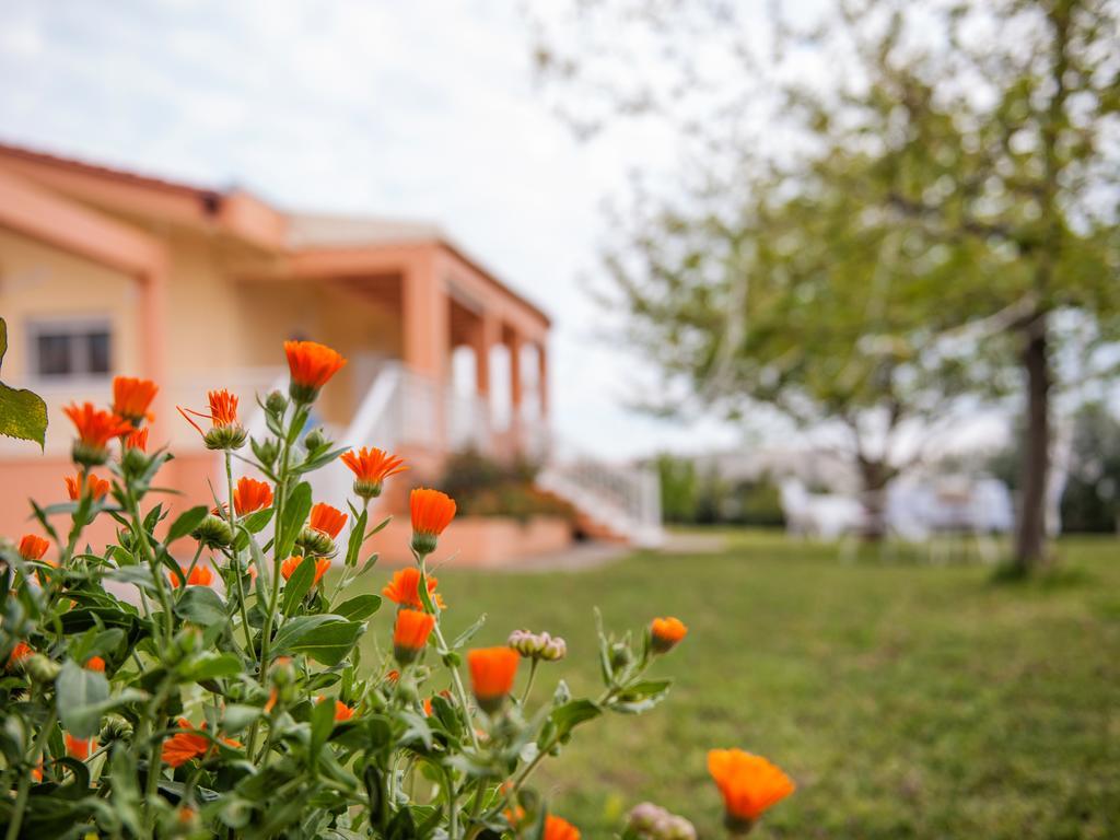 Villa Elaia Mare Fanárion Exterior foto